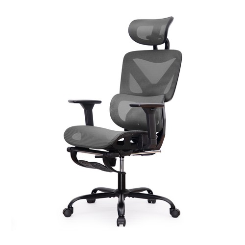 Deluxe mesh ergonomic office - deluxe,
